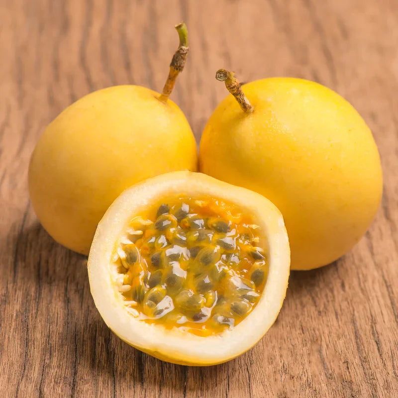 Passion Fruit Tree, 4 to 8 Inch Tall, Passion Fruit Tree Live Plant, Passionfruit Tree - Yellow