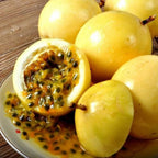 Passionfruit Plant Live, Passion Fruit Plant for Planting Outdoors, Passion Fruit Tree, Low Maintenance  - Yellow