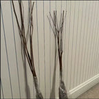 Kousa Dogwood Trees Set of 5, From 1 To 1.5 Ft, Dogwood Trees Live Plant, Kousa Flowering Dogwood Tree Seedling, Dormant, No Leaf, Bare Root