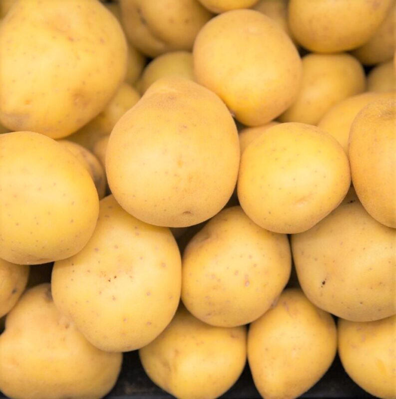 Seed Potatoes for Planting Outdoors, Potato Seeds, Yukon Gold, Fresh Heirloom and Non GMO Potato Seeds, Organic Potato Tuber, 2 Pound