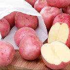 Red Seed Potatoes for Planting, Fresh Heirloom and Non GMO Potato Seeds, Potato Tuber, 2 Pound