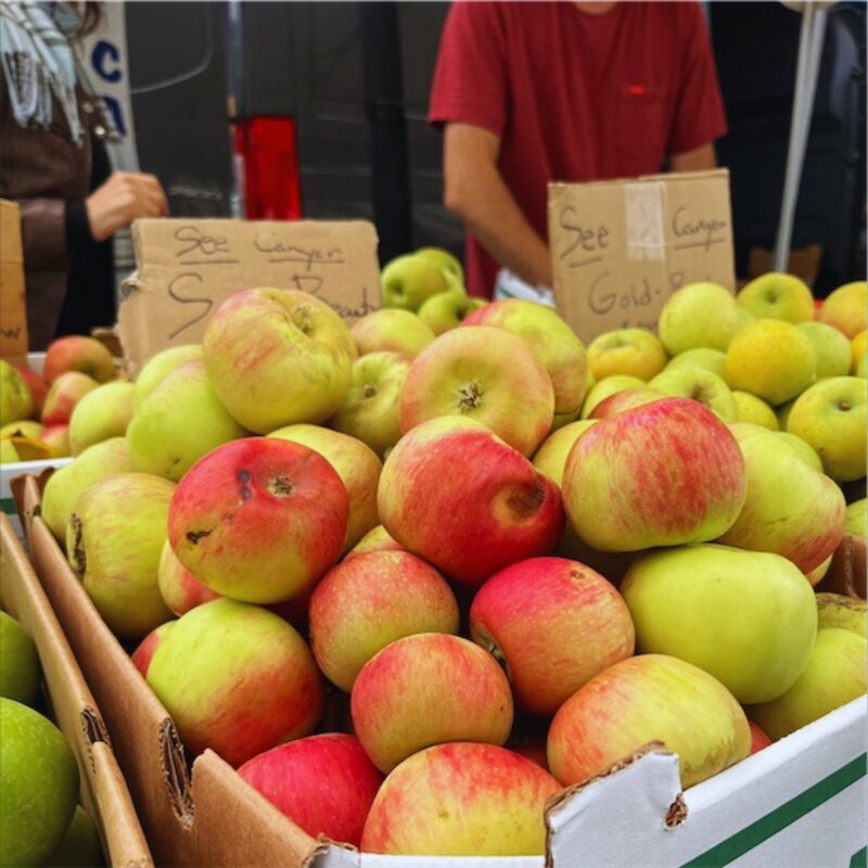 Sierra Beauty Apple Bare Root