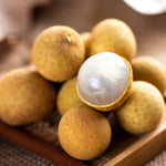 Live Longan Tree Plant – 5 to 9 Inches Tall Sweet Longan Fruit Tree for Gardening Outdoors