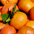 Tangerine Tree Live Plant, Murcott Tangerine Tree, Fruit Tree 1 Gallon Pot, 2 To 3 Feet Height