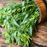 Tarragon Live Plants 4 Packs - Culinary Tarragon Herb - Size 5-9" Tall for Home Garden - Texas Tarragon