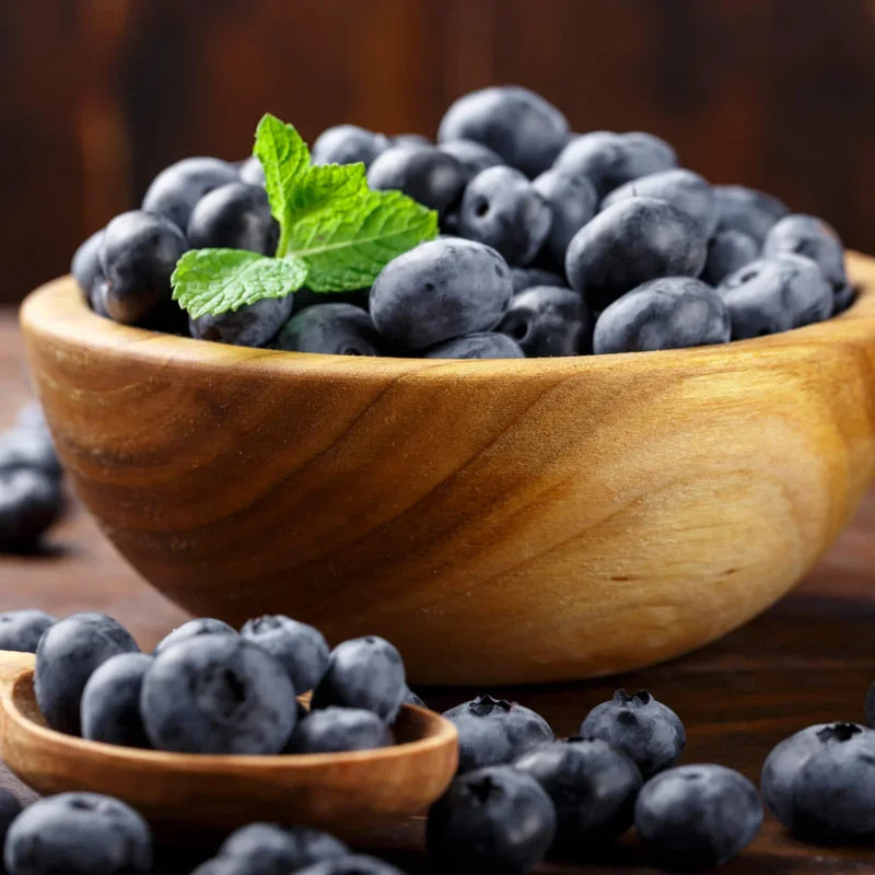 Misty Blueberry Plants Live Plant Set for Indoor Outdoor Gardens