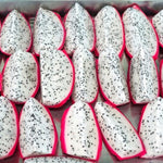 White Dragon Fruit Plant for Sale - 2 to 3 Feet Tall, 3 Gallon