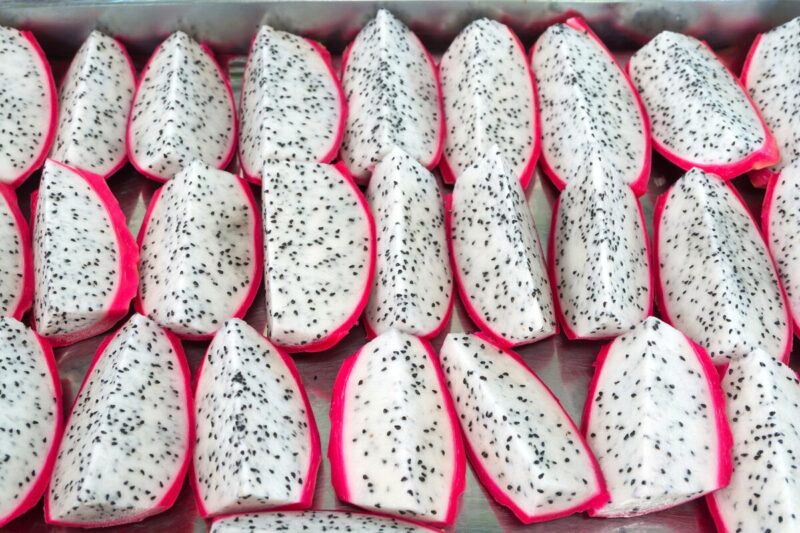 White Dragon Fruit Plant for Sale - 2 to 3 Feet Tall, 3 Gallon