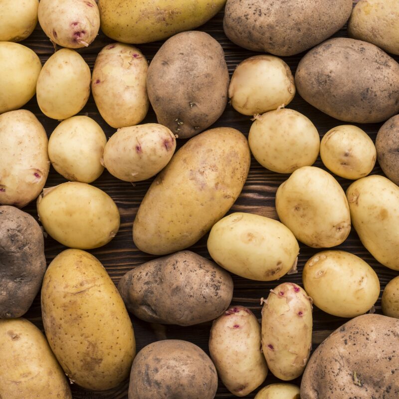 Seed Potatoes for Planting Outdoors, Potato Seeds, Russet Seed Potatoes, Fresh Organic Potato Seeds, Potato Tuber, 2 Pound
