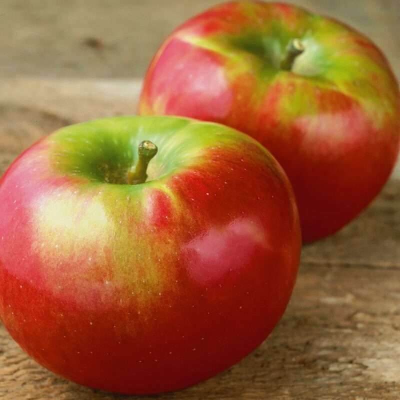 Cortland Apple Tree, 6-7 Feet Tall