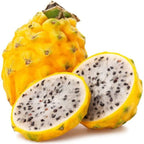 Yellow Dragon Fruit Plant Tree