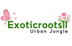 Exotic Roots
