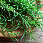 2 Rosemary Plants Live - 7 to 10 Inc Tall, 4 Inc Pot
