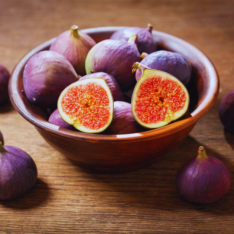3 Purple Fig Cuttings Unrooted, 6 to 9 Inc Tall