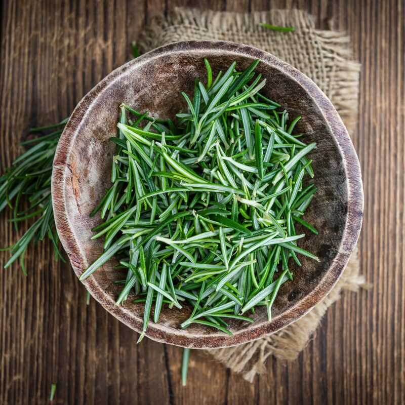 Rosemary Plant Live - 7 to 10 Inc Tall, 4 Inc Pot