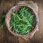 2 Rosemary Plants Live - 8 to 10 Inc Tall, 4 Inc Pot