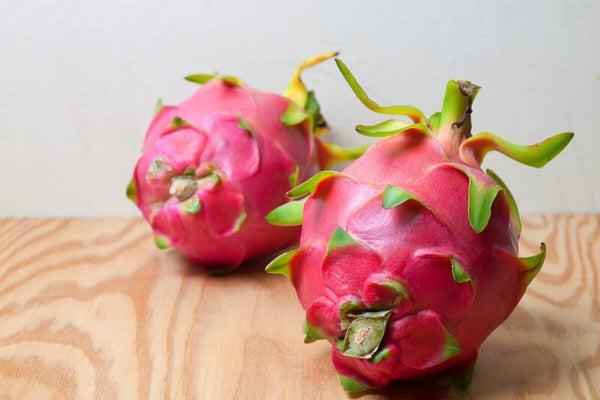 Red Dragon Fruit Plant for Sale - 2 to 3 Feet Tall, 3 Gallon