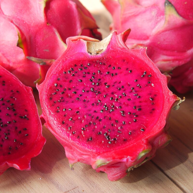 Purple Dragon Fruit Plant