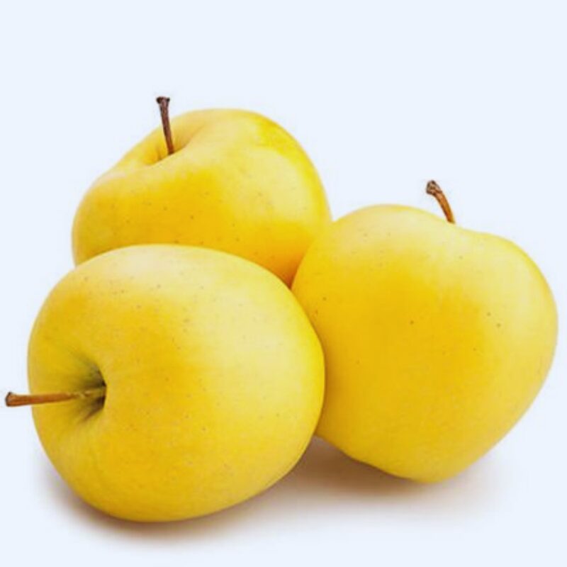 Dorsett Golden Apple