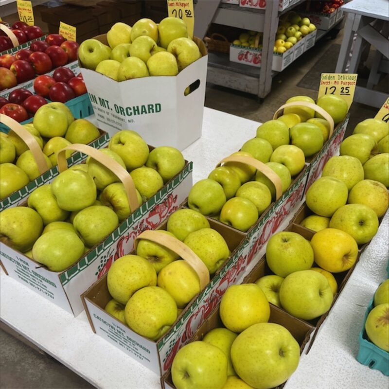 Golden Delicious Apple Bare Root