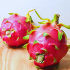 Red Dragon Fruit Tree Live Plant