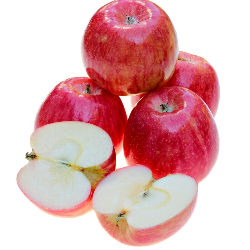 Honeycrisp Apple Tree, 4-5 Feet Tall