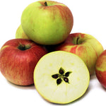 Northern Spy Apple Tree