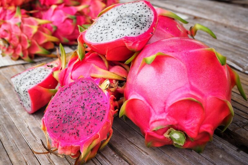 Dragon Fruit Plant - 2 to 3 Feet Tall, 3 Gallon
