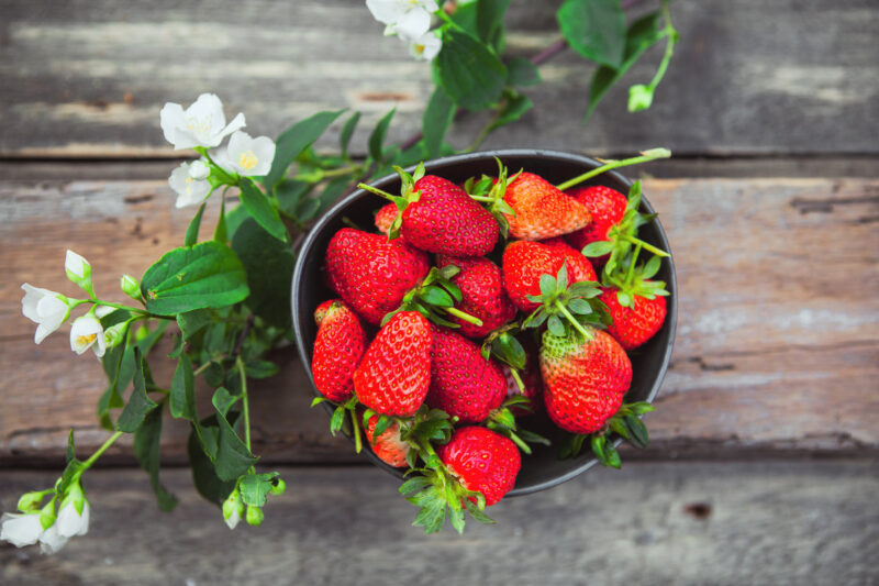 Strawberry Plants Bareroot - 50 Bareroots - Albion Everbearing Strawberry