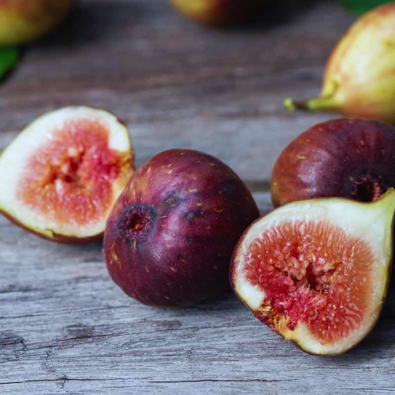 Texas Everbearing Fig Tree - 4 to 6 Inc Tall