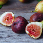 Texas Everbearing Fig Tree - 4 to 6 Inc Tall
