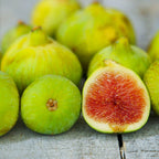 White Kadota Fig Tree - 4 to 6 Inc Tall